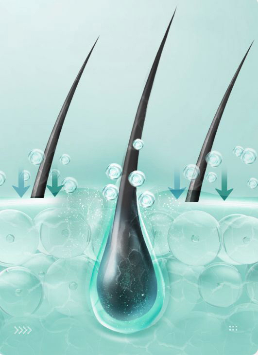 Hair loss improvement program